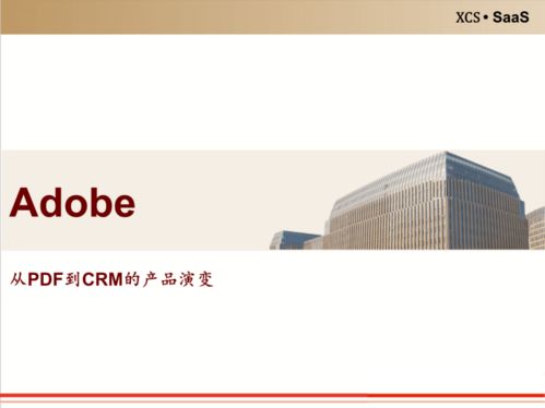 工具軟件 企業(yè)級服務(wù)的戰(zhàn)略入口與未來展望